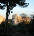 Colloseum from Palatine Hill 1